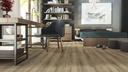 D5380 Andromeda Oak