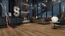 D5381 Ophelia Oak