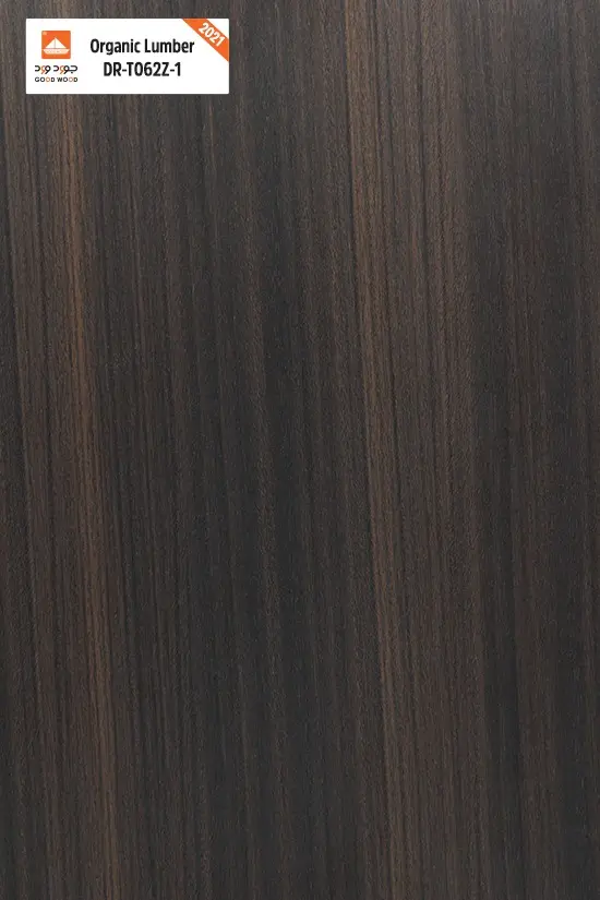 DR-T062Z-1 اورجانك لمبر