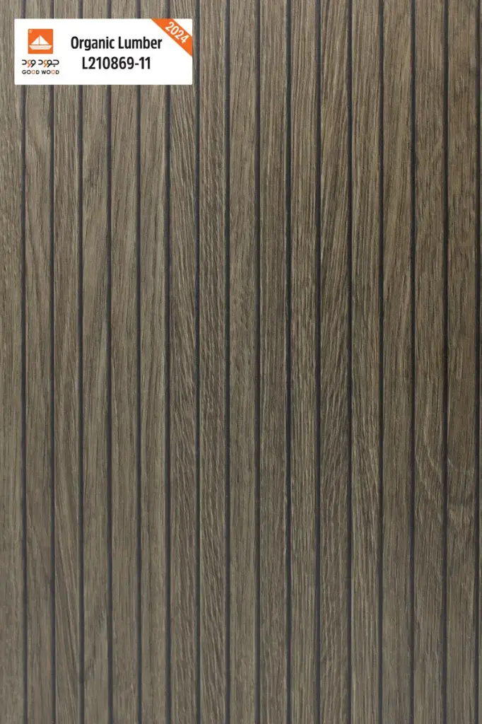  L210869-11 اورجانك لمبر