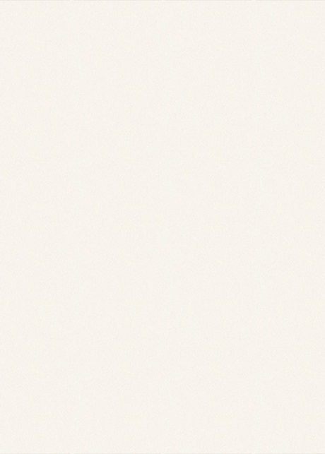 P208 Galaxy White