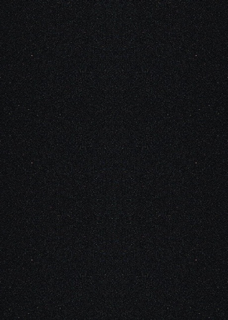P231 Galaxy Black