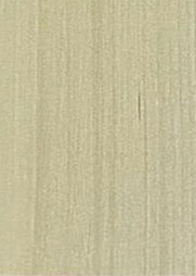 13016–SF Bering-Wood
