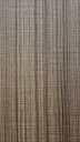 10351-VLY  Nobel Fir