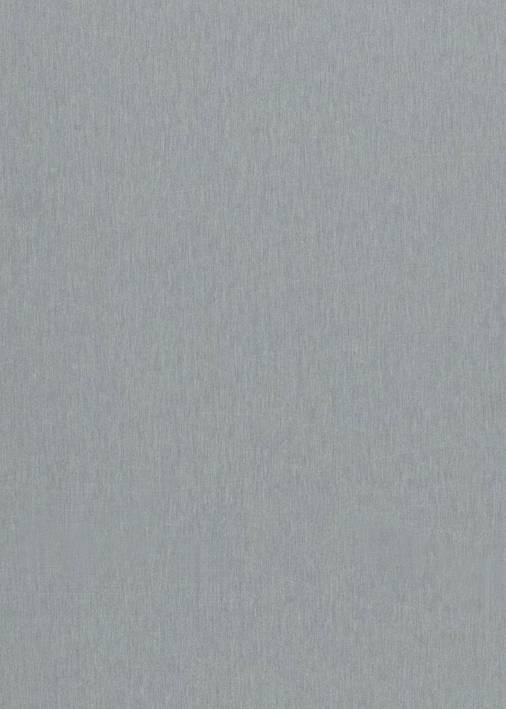 99981_Silvery