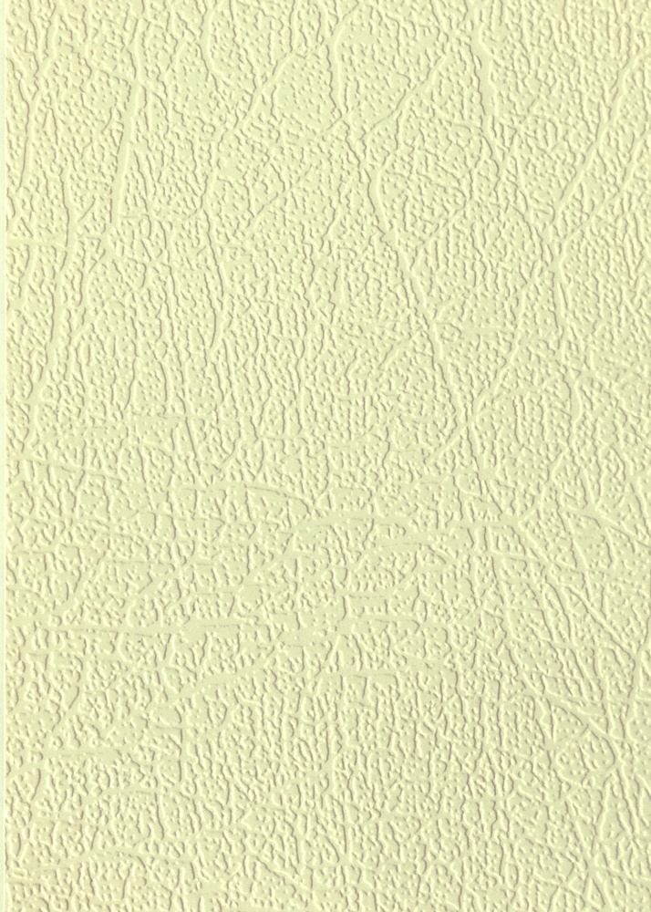 21187-CLR Champagne