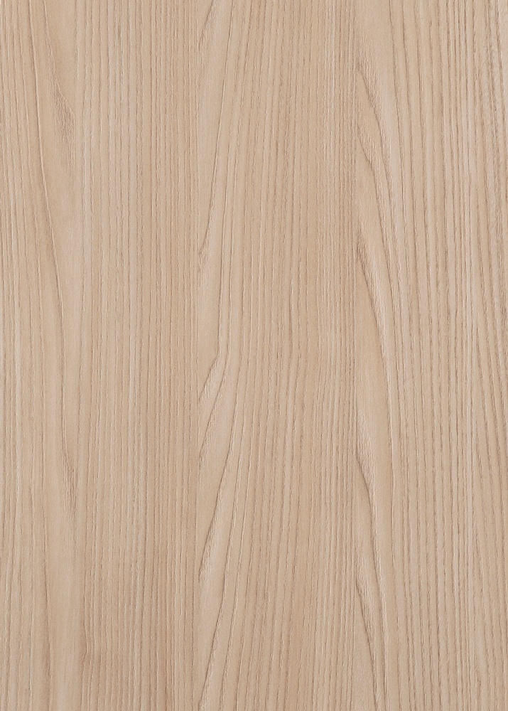 S164 Bardini Fronda