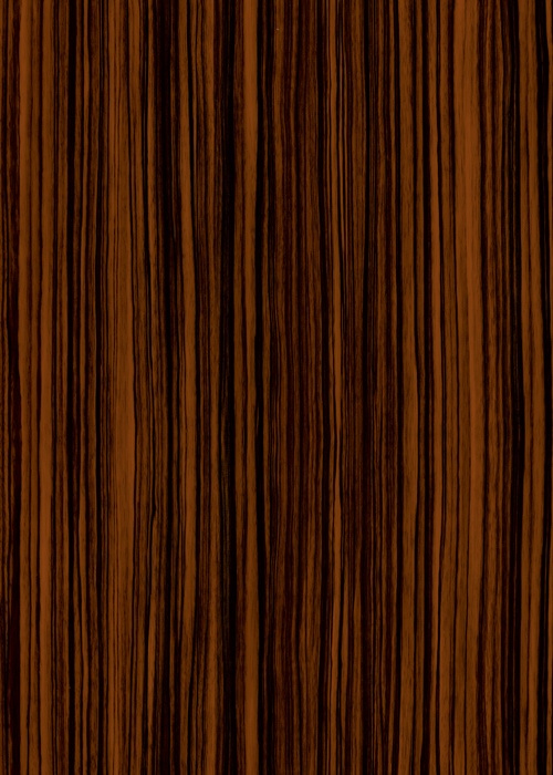 P300 Ebony