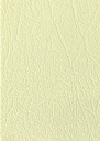 21187-CLR Champagne
