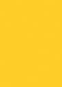 21467-Sf Neo Turmeric