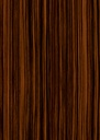 P300 Ebony